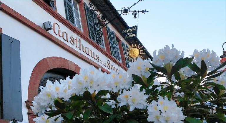 Gasthaus zur Sonne in Edenkoben