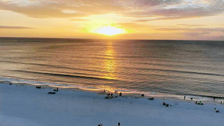 Condo Marco Island