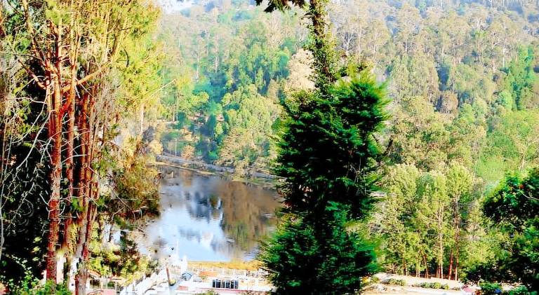 Bed and breakfast Kodaikanal