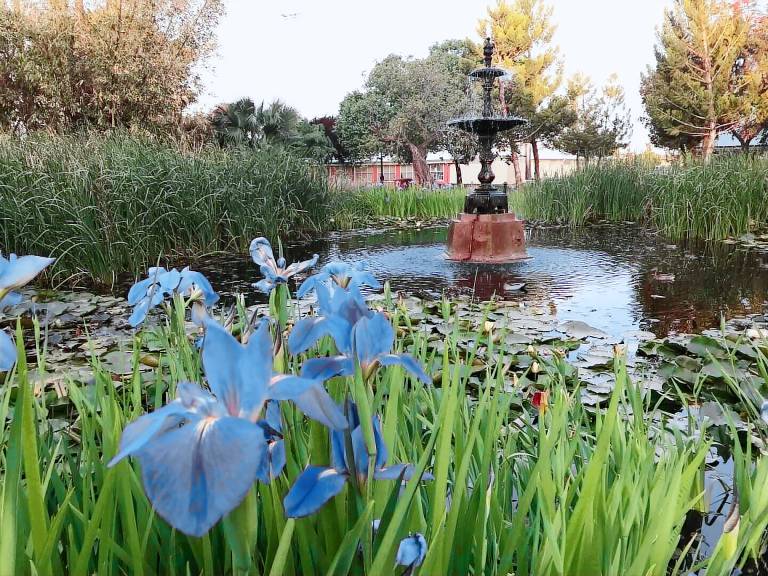 Cottage Dubbo