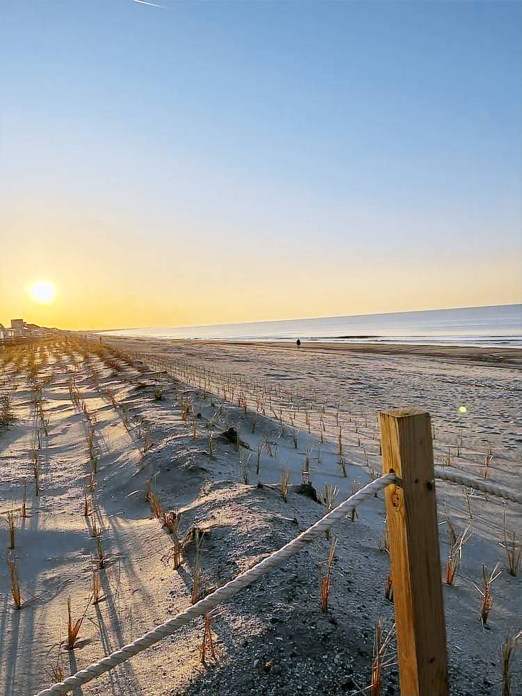 House  Oak Island