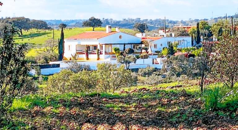 House with pool, garden & terrace | Dogs allowed in Beja