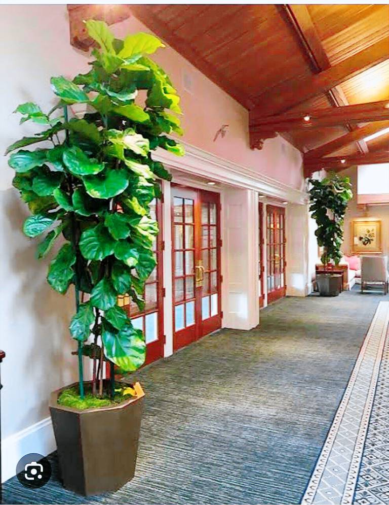 Big vacation home | Good for workation | Dogs allowed — photo 3