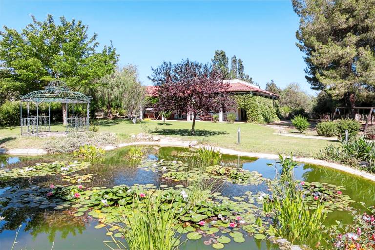 Stunning country mansion with huge pool & park — photo 4