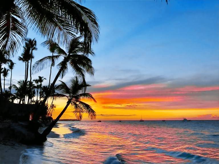 Luxury Miami Villa with Pool