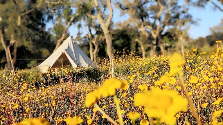 Get Back to Nature at this Eco-Glamping Destination in Roncao, Portugal — photo 5