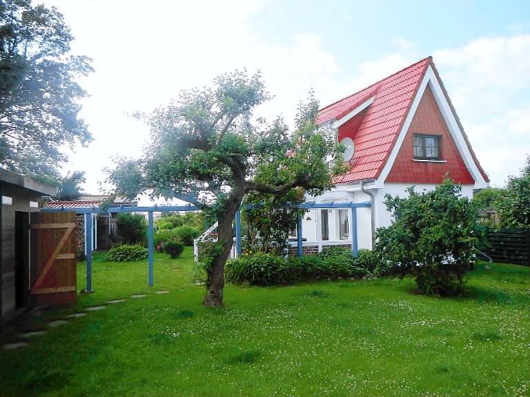 foto1