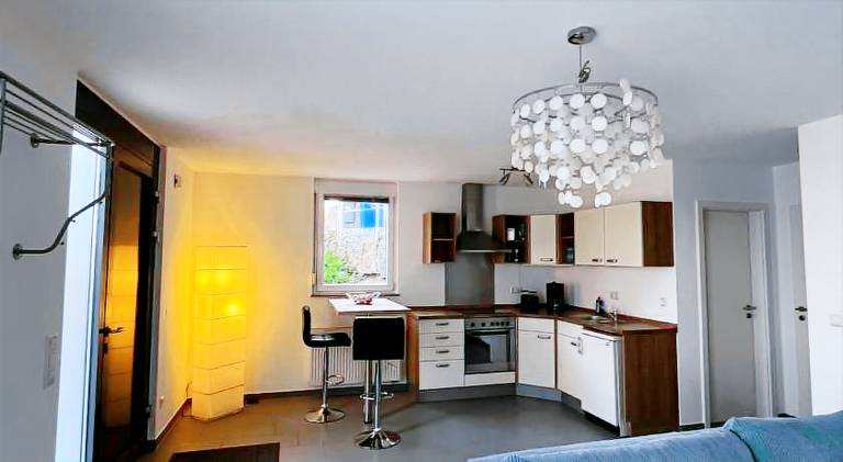 Pleasant apartment | Pets are welcome — photo 2