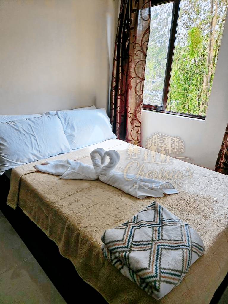 Charming apartment with sauna | Pets are welcome in Baguio