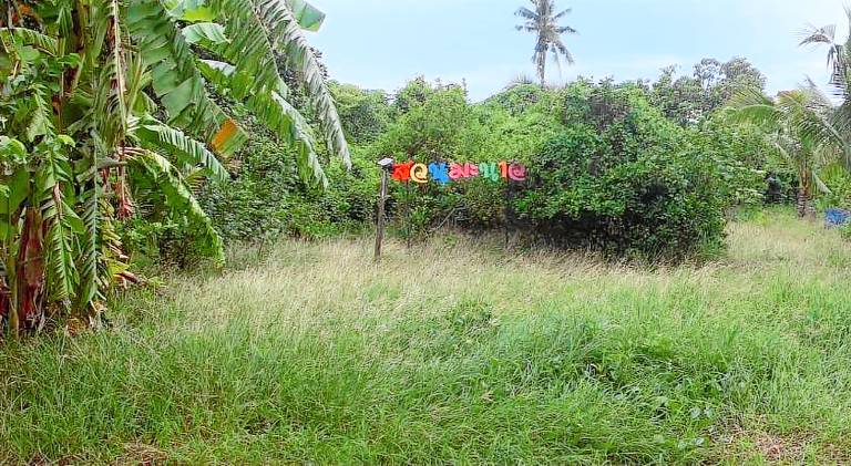 รีสอร์ท สุพรรณ — photo 5