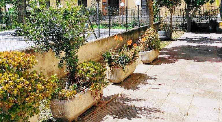 Holiday apartment with 2 rooms for 7 persons in Ascea