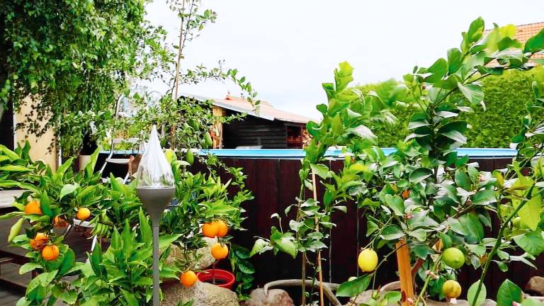 Ferienwohnung Ahrensfelde