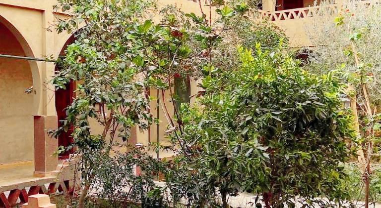 Hotel Riad Oasis — photo 4