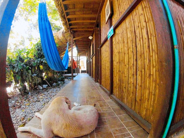 Hostal Zinpar — photo 2