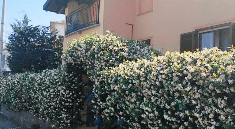 House with jacuzzi | Dogs allowed in Legnano