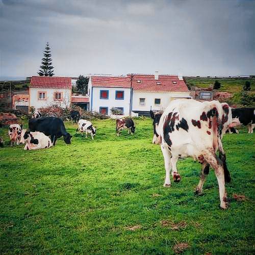 Huis Angra do Heroísmo