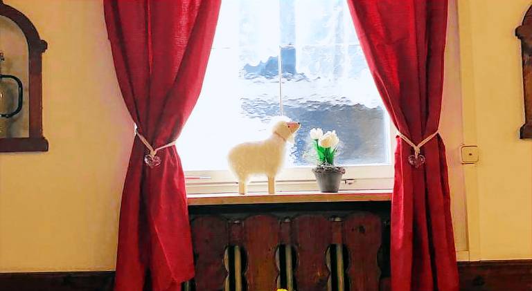 foto26