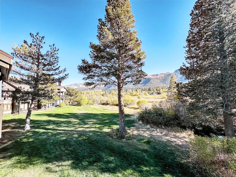 Fully equipped beautiful condo with sauna, jacuzzi & grill | Mountain view | Dogs allowed — photo 3
