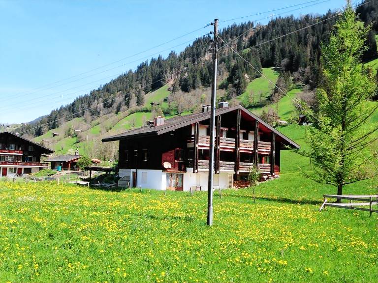 Ferienwohnung Lenk