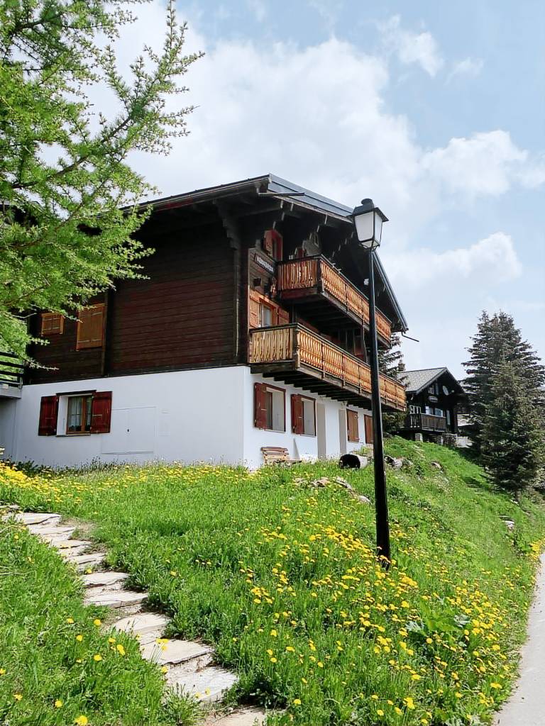 Appartement Riederalp