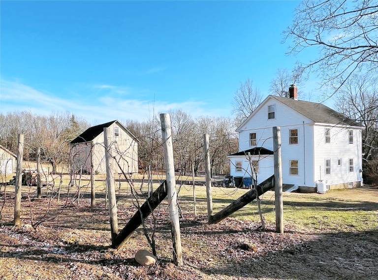 Farmhouse Glastonbury