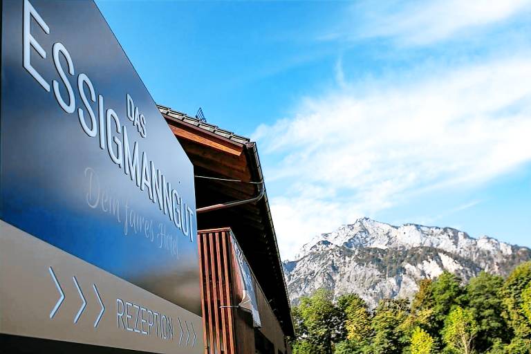 Apartment mit Hotelservice Anif