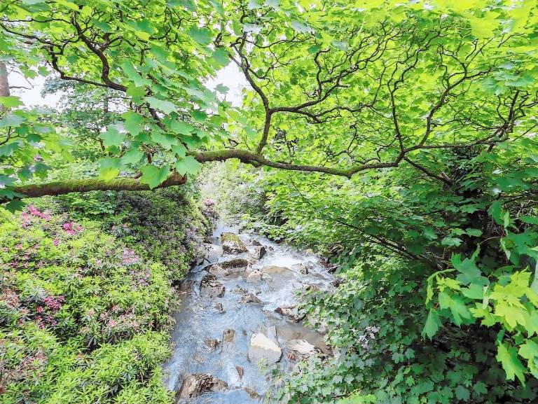 Cottage Blaenau Ffestiniog