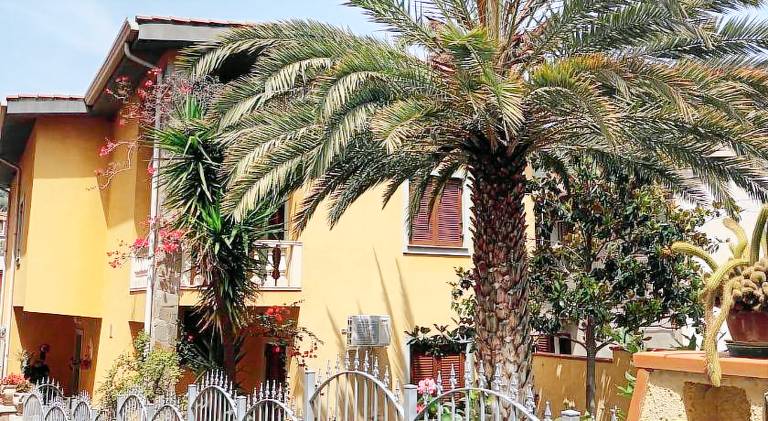 Valentina s garden house