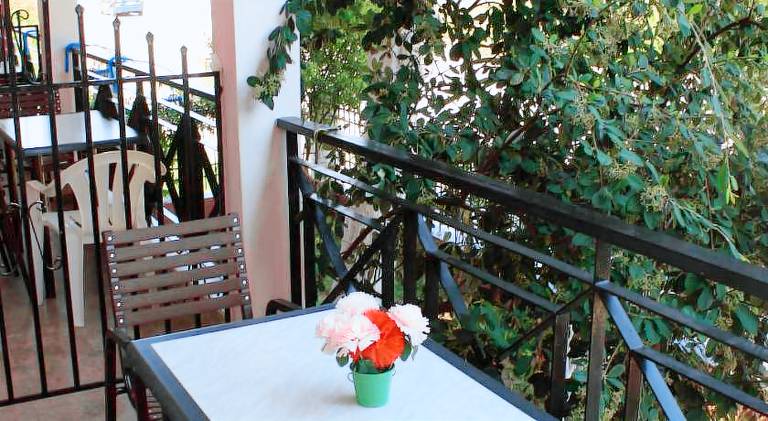 Apartment | Dogs allowed — photo 4