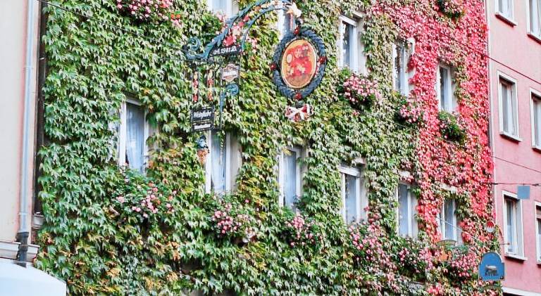 Hotel Till Eulenspiegel - Nichtrauchhotel — photo 3