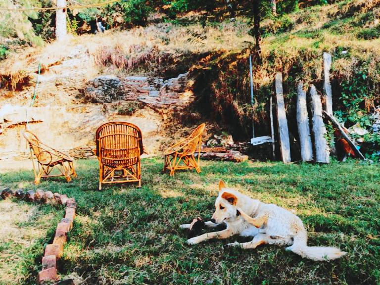 RabbitHole Kasar — photo 5