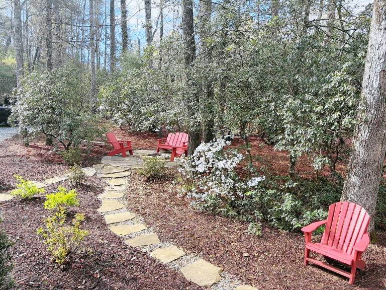 Cabin Mountain Rest
