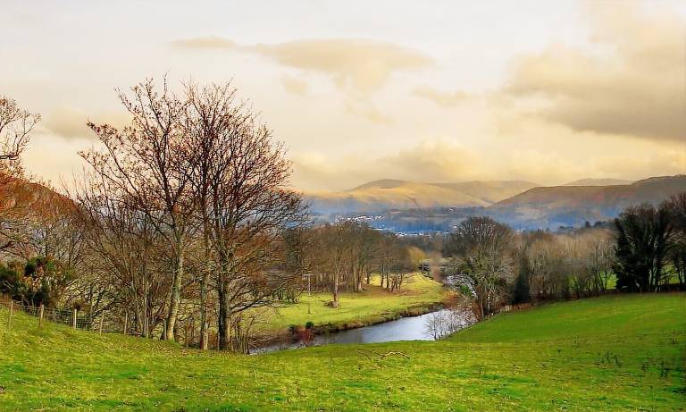 Cottage Above Derwent
