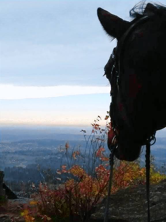 Apartment Grattersdorf