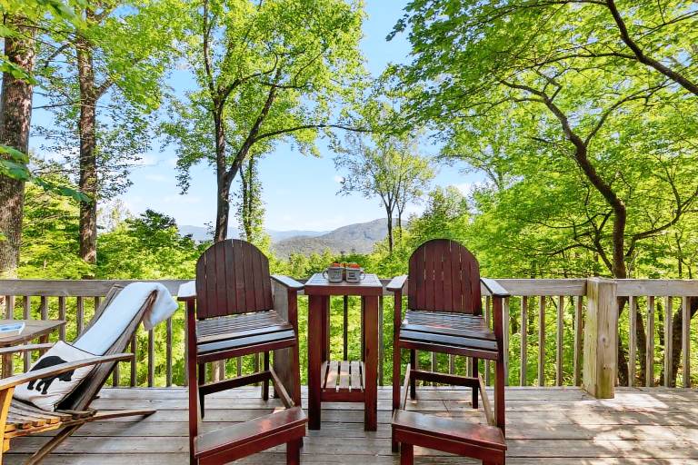 Cabin Ellijay