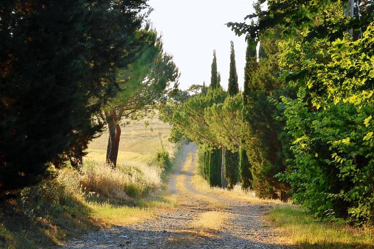 Agriturismo La Casetta del Sole - Appartamento Il Nido — photo 4