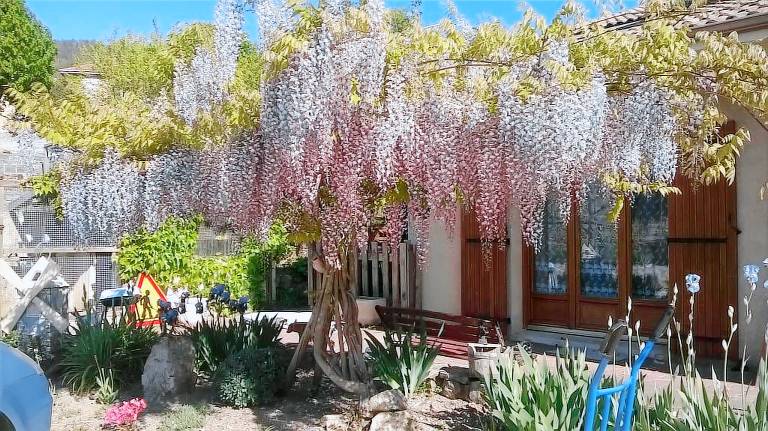 Appartement  Bourg-Argental