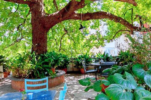 La Quercia Retreat in Vico Equense