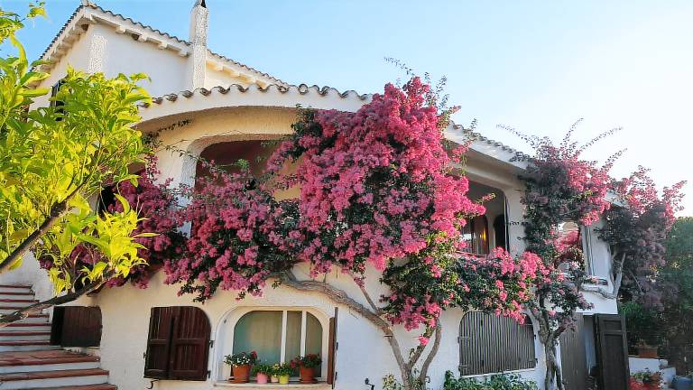 Villa with grill & garden | Mountain view — photo 2