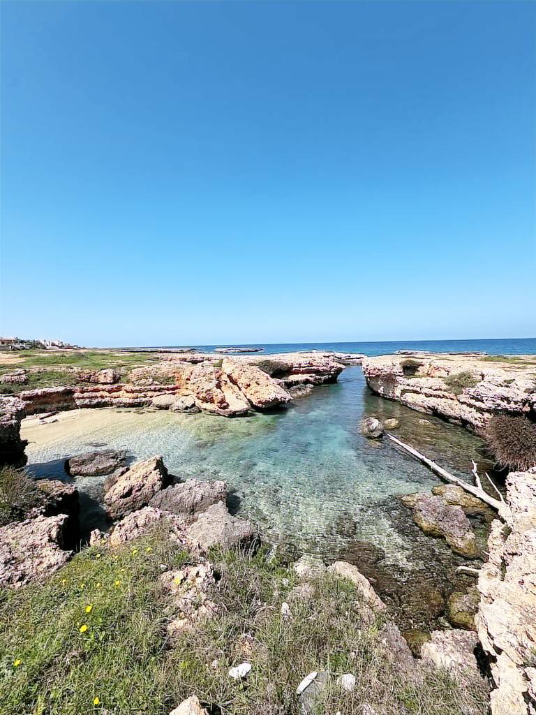 Nice vacation home with barbeque | Next to the beach | Pets are welcome — photo 4
