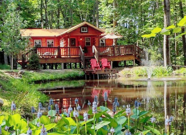 Cabin Burton
