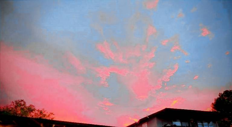 The View Motel — photo 5