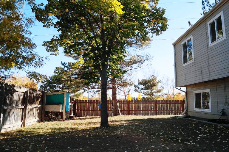 House  Longmont