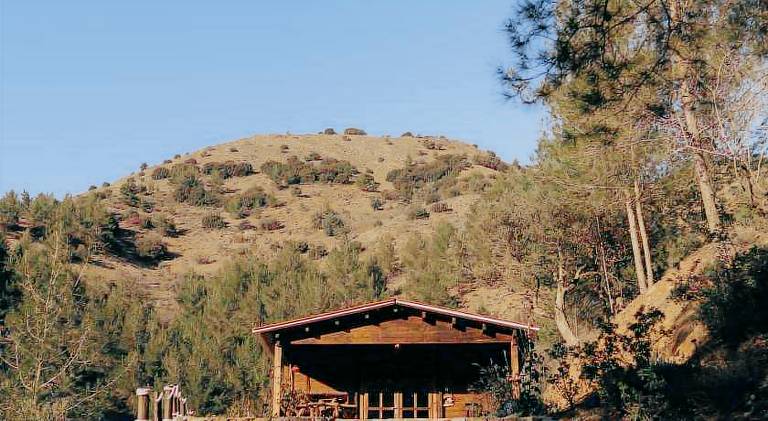 Bosco Paradiso in Limassol