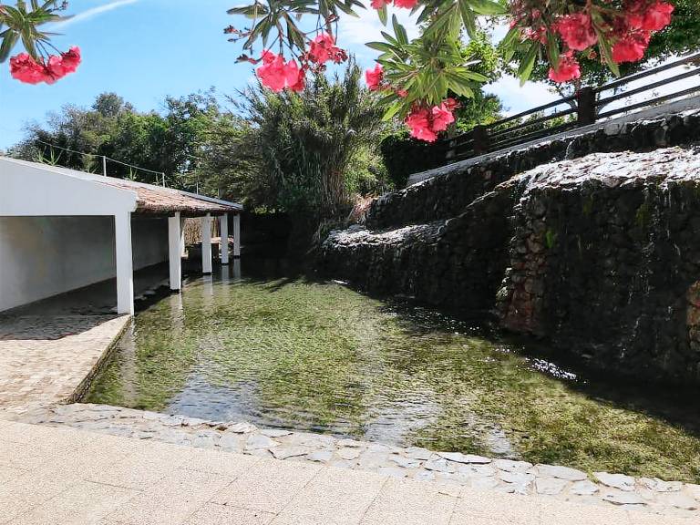House | Beach nearby | Perfect for remote work | Pets are welcome — photo 5