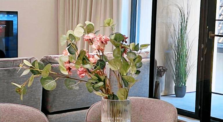 Beautiful rental apartment | Pets are welcome — photo 5