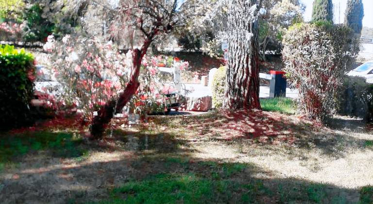 Holiday apartment with terrace & yard — photo 3