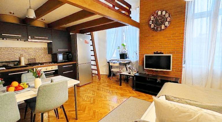 Wonderful rental apartment | Close to Špilberk Castle | Good for workation | Dogs allowed in Brno