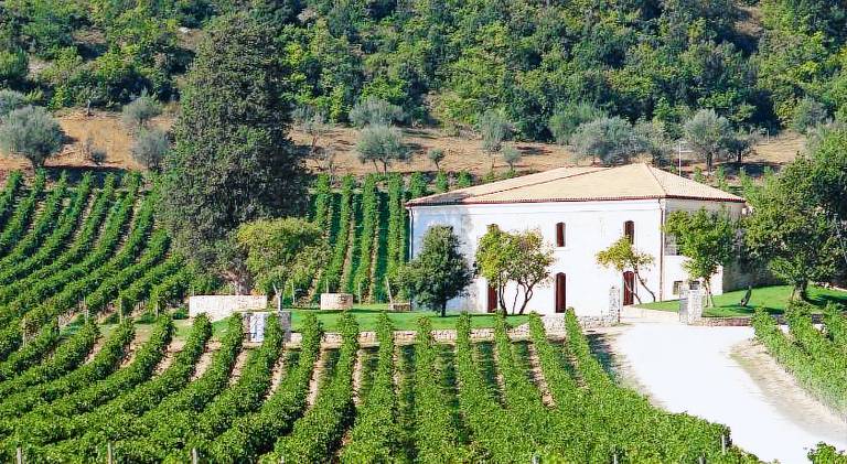 San Calisto camere con vigna