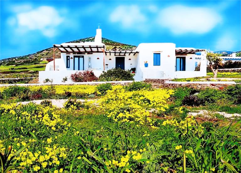 House Antiparos